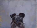 Oil painting portrait of miniature schnauzer Zeke